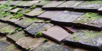 Whitebrook roof repair costs